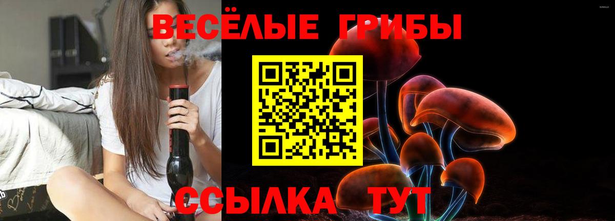 купить наркотик  Галлюциногенные грибы мухоморы  Вход с VPN  Псилоцибиновые грибы прущие грибы  Вышний Волочёк 